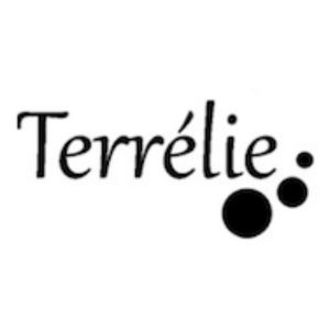 Morgan Pennec - Formation SEO - Terrelie site web Prestashop